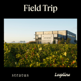 Field Trip: Stratus
