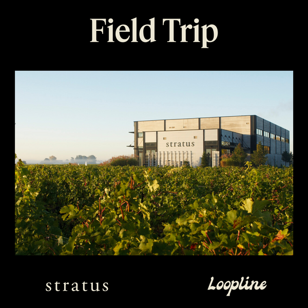 Field Trip: Stratus