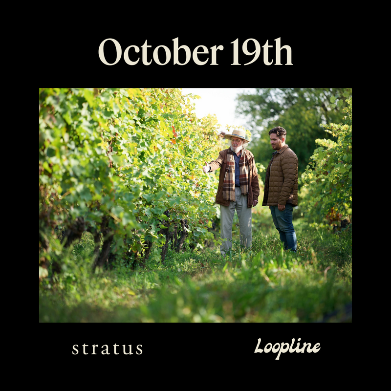 Field Trip: Stratus