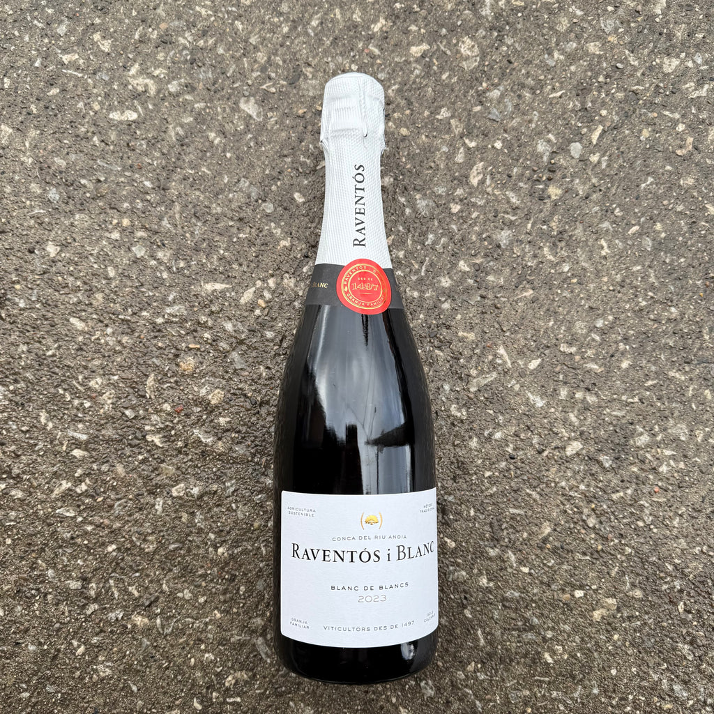 Raventós i Blanc Blanc de Blancs 2023 – LOOPLINE | bottle shop