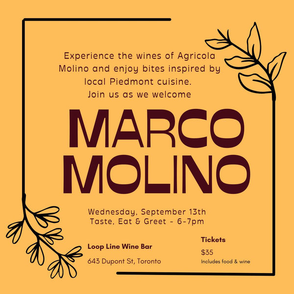 AN EVENING WITH MARCO MOLINO