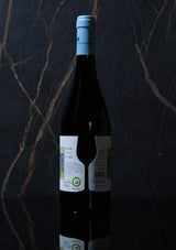 Masseria Frattasi -920M Sauvignon Blanc 2021