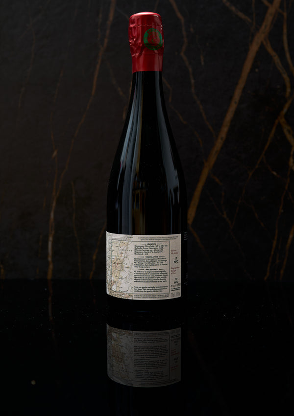 Suenen Champagne Oiry Grand Cru Blanc de Blancs