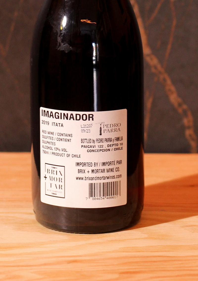 Pedro Parra Imaginador 2019
